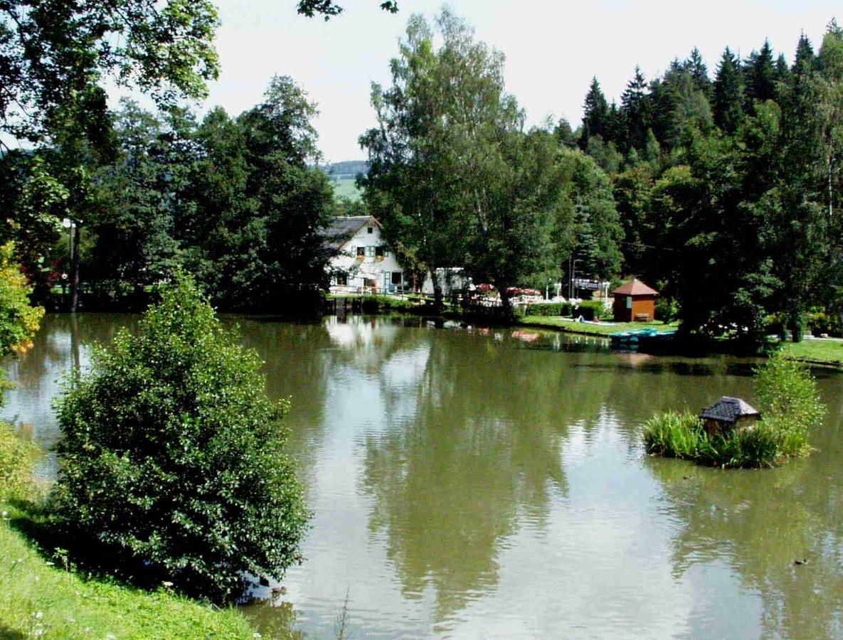 Hotel Gasthof Zum Walfisch Klingenthal Exterior foto