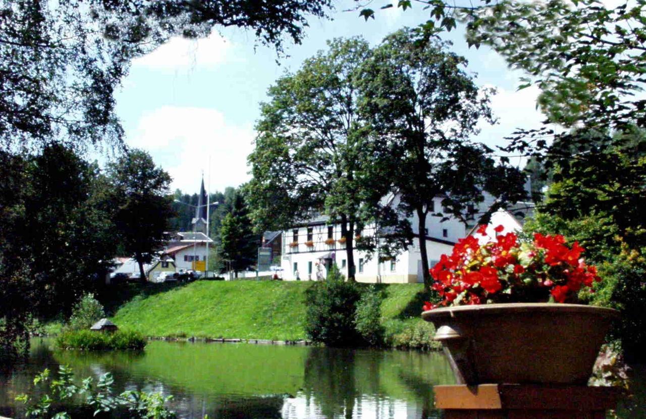 Hotel Gasthof Zum Walfisch Klingenthal Exterior foto