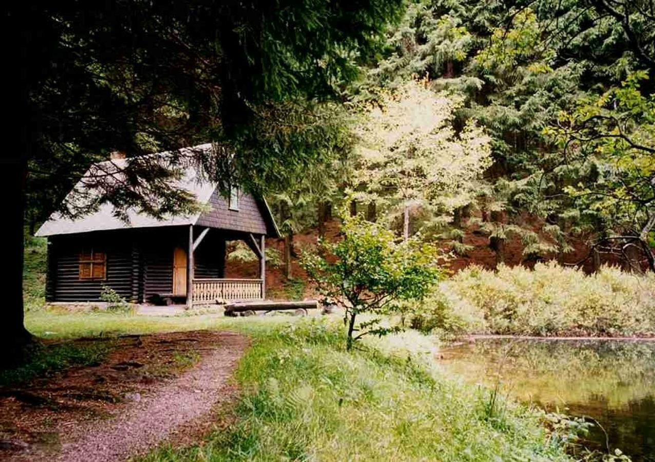 Hotel Gasthof Zum Walfisch Klingenthal Exterior foto